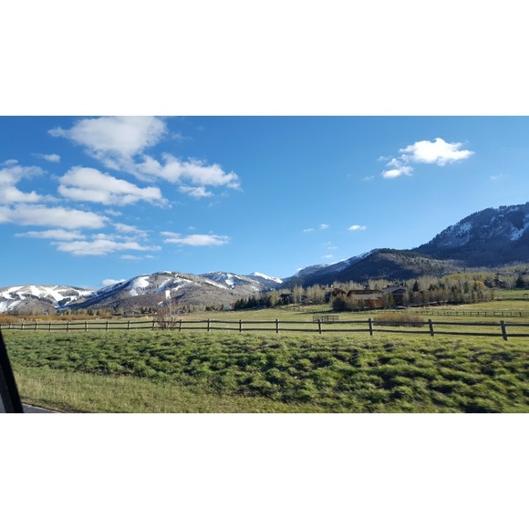 Meet your Posher, Ruth - Picture 1 of 1